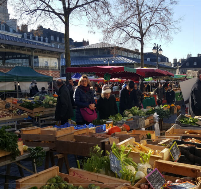 Residence Des Lices Residence Services Seniors Rennes LENVIRONNEMENT01